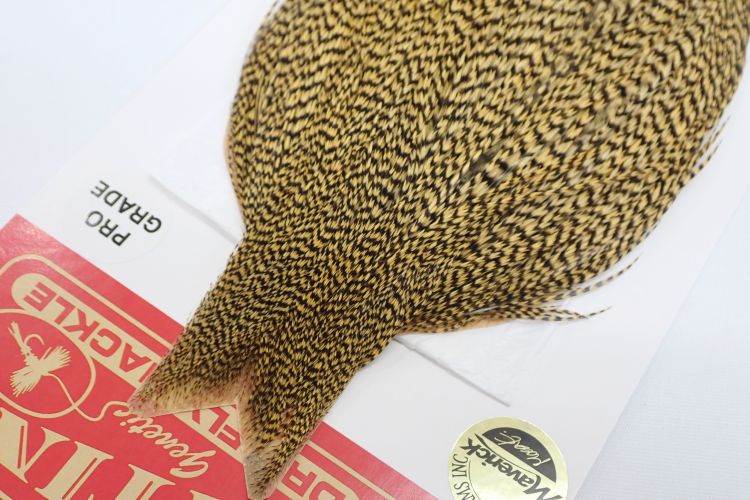 グリズリーダイド ゴールデンストロー