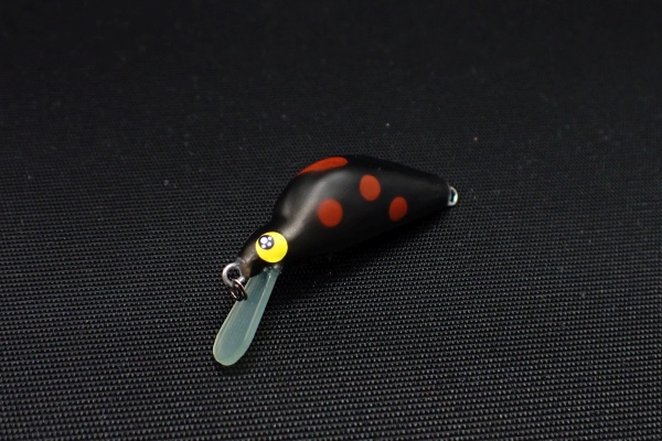 ブラックテントウ(マット)