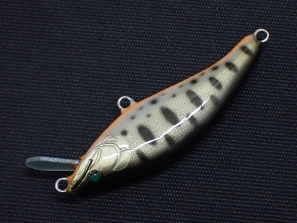 クロキンヤマメ