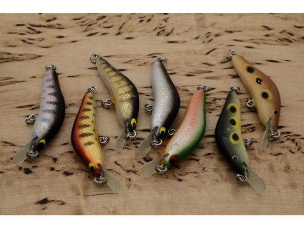 ライムアルビノ