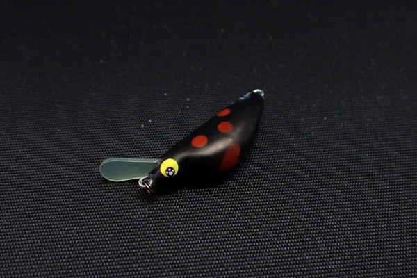 ブラックテントウ(マット)