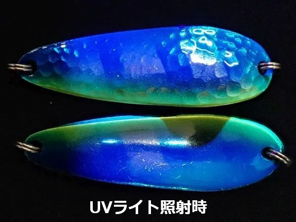 蛍紫 スカイダイビングCB