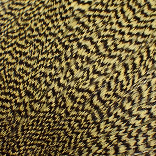 グリズリーダイドペールイエロー