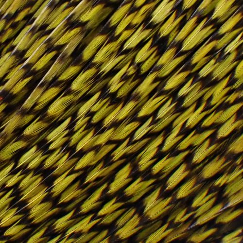 グリズリーダイド ダークオリーブ