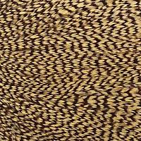 グリズリーダイド ゴールデンストロー
