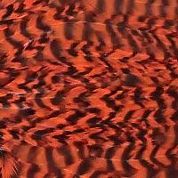 グリズリーダイド オレンジ