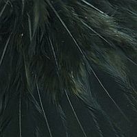ダイドブラック