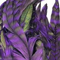 パープル