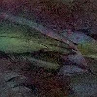 ナチュラルブラック