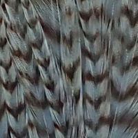 ブルーダングリズリー