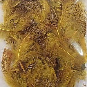 ゴールデンオリーブ