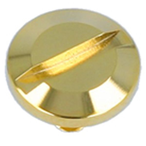 金メッキ