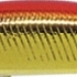 703 アカキン