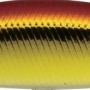 703 アカキン