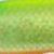 H01 HSチャートレモン