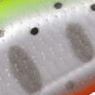 18.チャートヤマメ箔