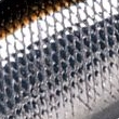 13.ワカサギ
