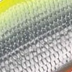 20.チャート