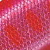 45.ピンクレーザーヤマメ