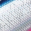 22.ブルーピンク