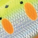 32.チャートヤマメ