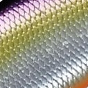 34.パープルオレンジ