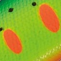 37.クレージーヤマメ