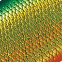 43.グリーンゴールド