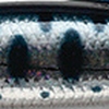 11 スモルト