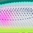 グリーンバックCB
