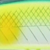 16 グリーンバックアユCB
