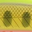 チャートゴールドヤマメOB