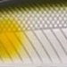 01 アユ