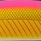 11 ゴールドピンク