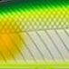 16 グリーンバックアユCB