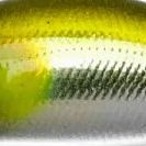 Mo-002 メッキアユ