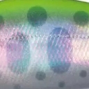 Mo-006 チャートバック