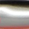 39 MM-BKOR