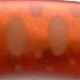 GA33 Copper・Small Parr