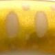 GA35 Mustard・Small Parr