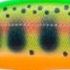 GDCY チャートヤマメ