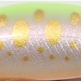 ライムヤマメOB(デビルアイ)