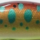 RGヤマメイエローベリー
