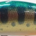 GGトラウト(赤系のアイ)