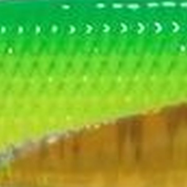 06 グリーンチャートＧ