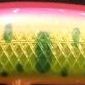 A-PPM ピンクパーマーク