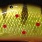 魅惑の金