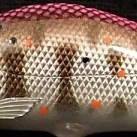 ピンク