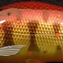 レッド