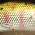 赤パー